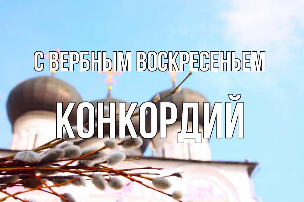 Открытка на каждый день с именем, Конкордий С вербным воскресеньем верба Прикольная открытка с пожеланием онлайн скачать бесплатно 