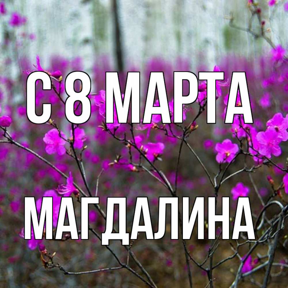 Открытка на каждый день с именем, Магдалина С 8 МАРТА дикие цветы Прикольная открытка с пожеланием онлайн скачать бесплатно 
