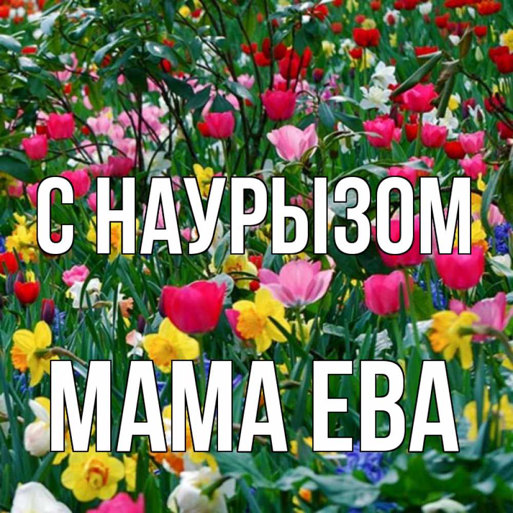 Открытка на каждый день с именем, Мама-Ева С наурызом с наурызом праздником весны поздравления для женщины Прикольная открытка с пожеланием онлайн скачать бесплатно 