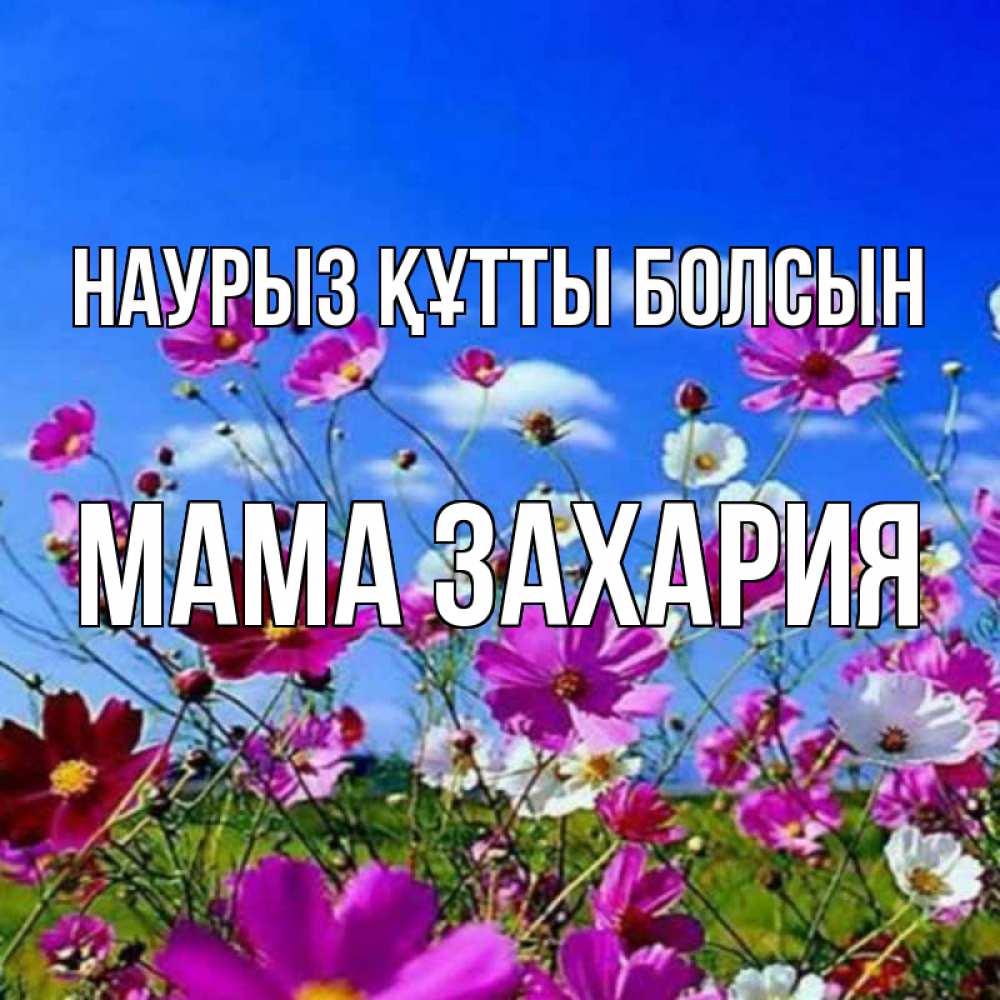 Открытка на каждый день с именем, Мама-Захария Наурыз құтты болсын цветы Прикольная открытка с пожеланием онлайн скачать бесплатно 