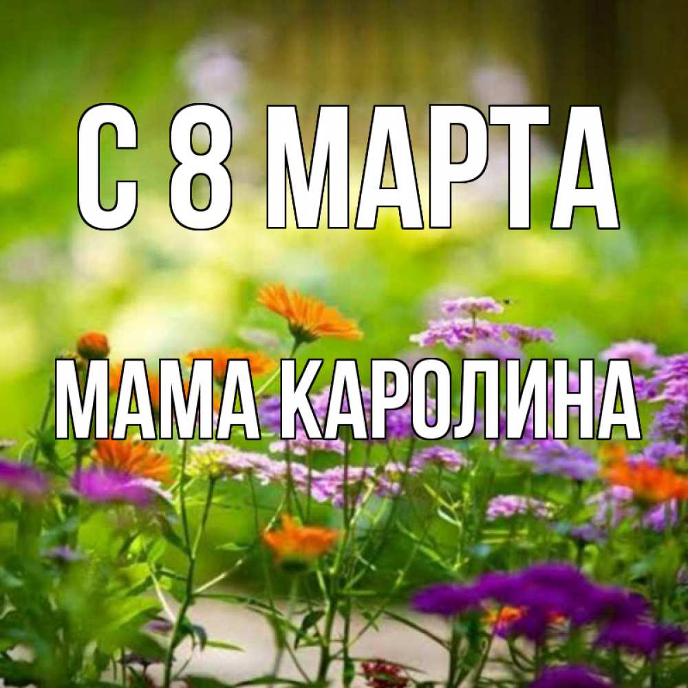 Открытка на каждый день с именем, Мама-Каролина С 8 марта цветы Прикольная открытка с пожеланием онлайн скачать бесплатно 