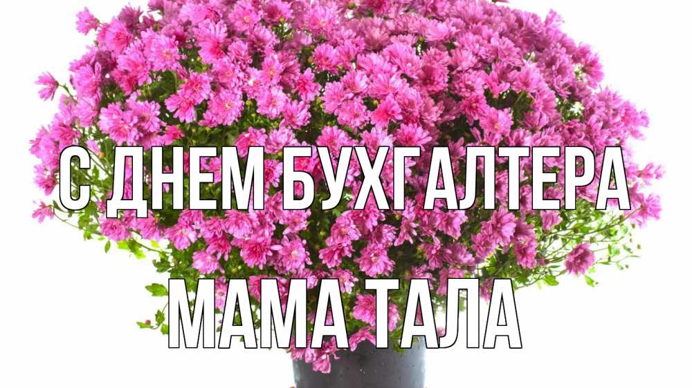 Открытка на каждый день с именем, Мама-Тала С днем бухгалтера с днем бухгалтера Прикольная открытка с пожеланием онлайн скачать бесплатно 