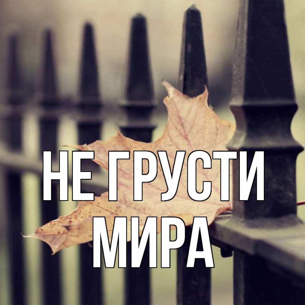 Открытка на каждый день с именем, Мира Не грусти лист клена Прикольная открытка с пожеланием онлайн скачать бесплатно 