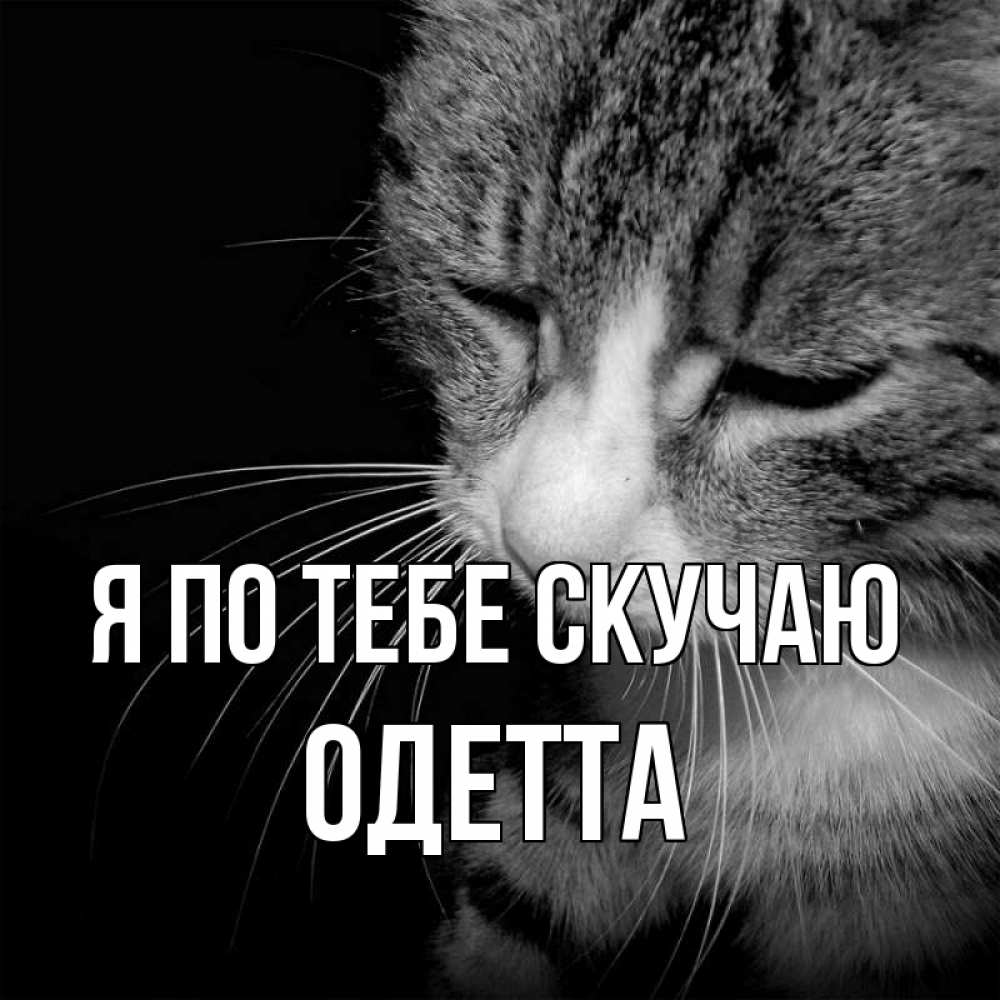 Открытка на каждый день с именем, Одетта Я по тебе скучаю мне скучно Прикольная открытка с пожеланием онлайн скачать бесплатно 