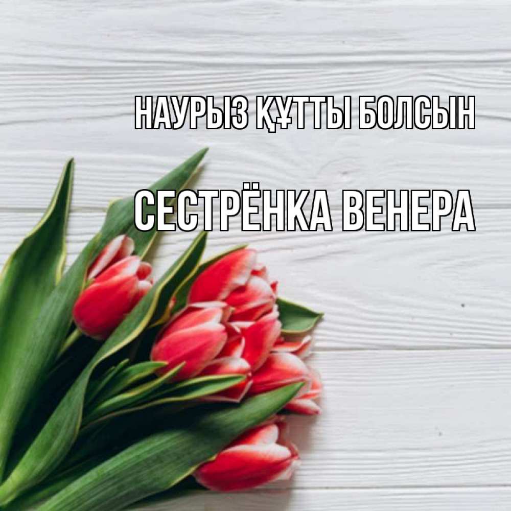 Открытка на каждый день с именем, Сестрёнка-Венера Наурыз құтты болсын весна 2 Прикольная открытка с пожеланием онлайн скачать бесплатно 