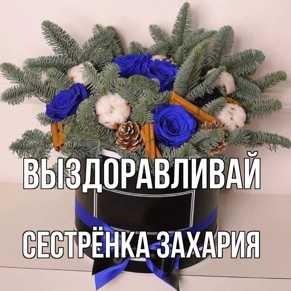 Открытка на каждый день с именем, Сестрёнка-Захария Выздоравливай короче кто то загрузил эти шишки Прикольная открытка с пожеланием онлайн скачать бесплатно 