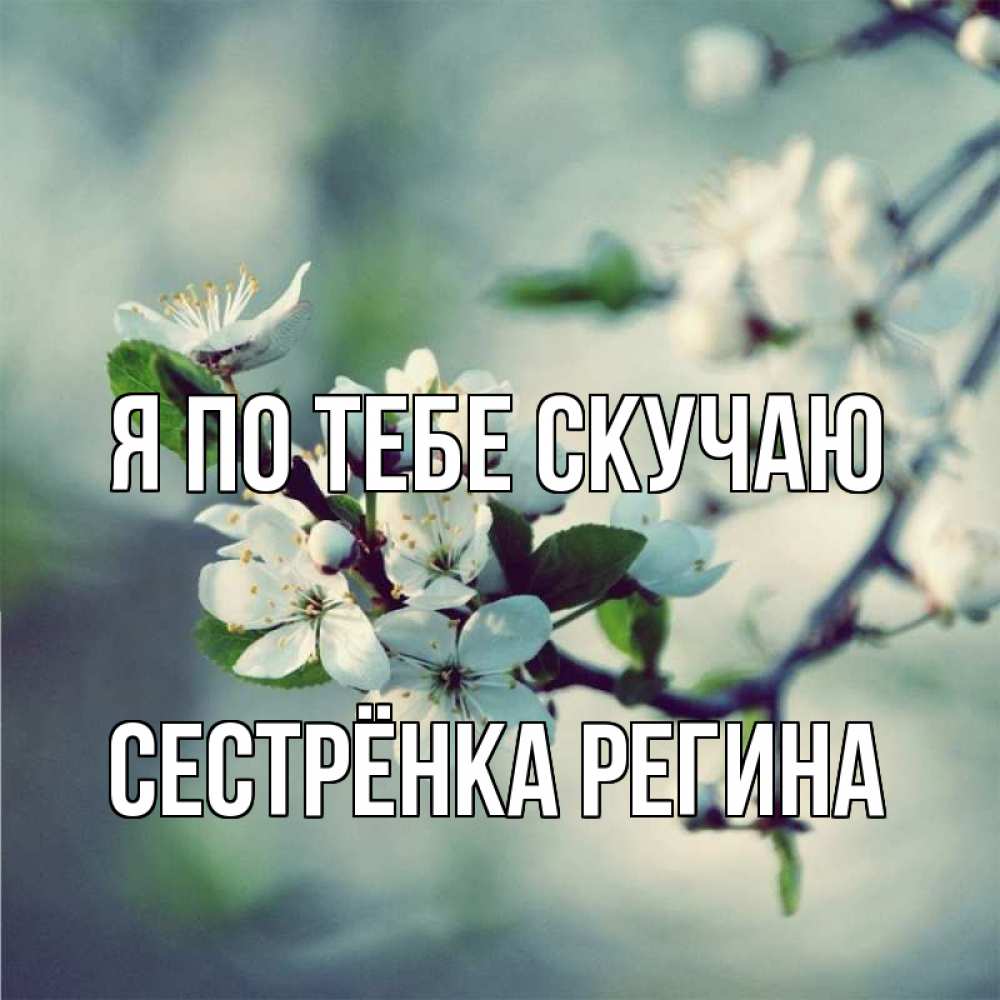 Картинка Я по тебе скучаю, Сестрёнка Регина