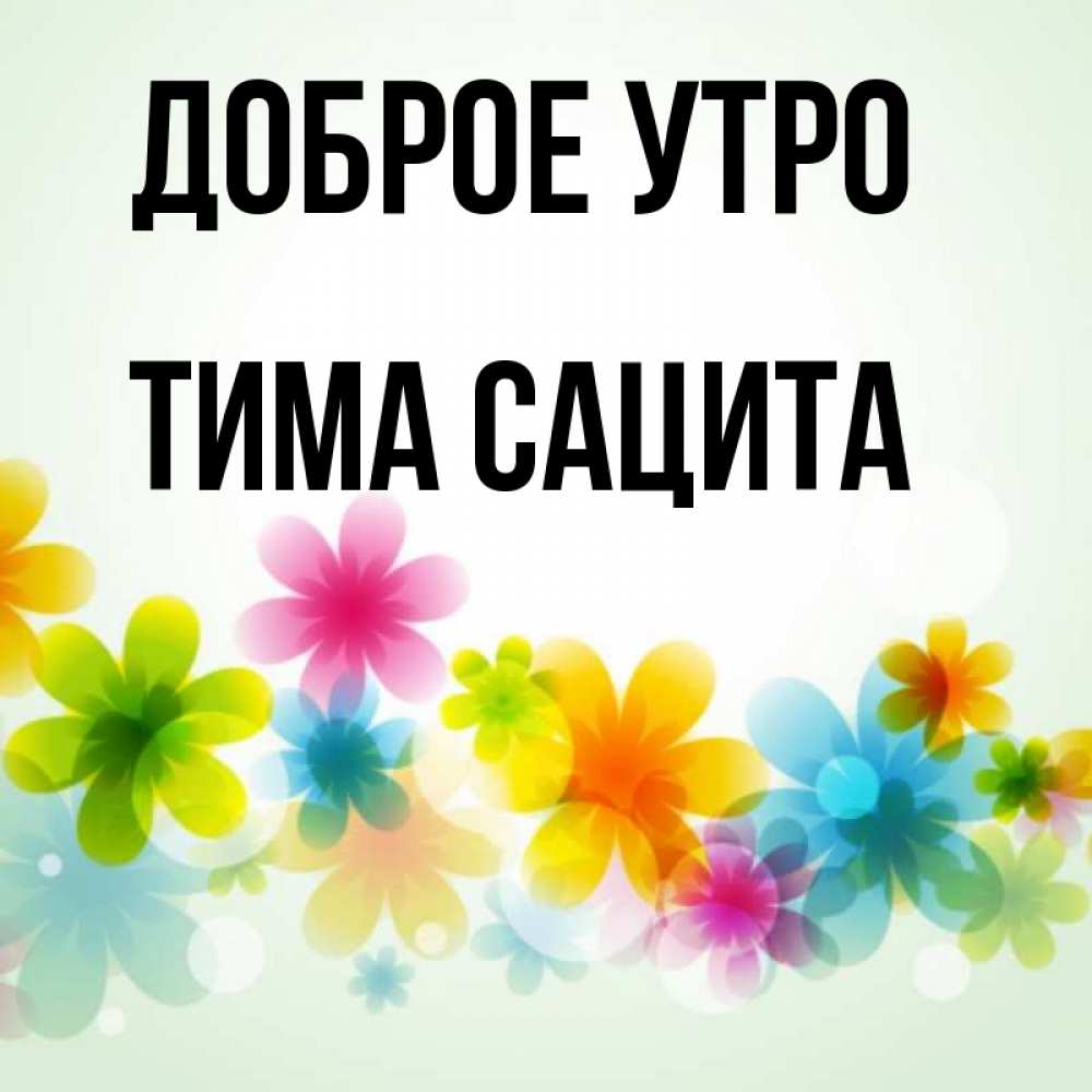 Открытка на каждый день с именем, Тима-сацита Доброе утро позитивные цветочки Прикольная открытка с пожеланием онлайн скачать бесплатно 