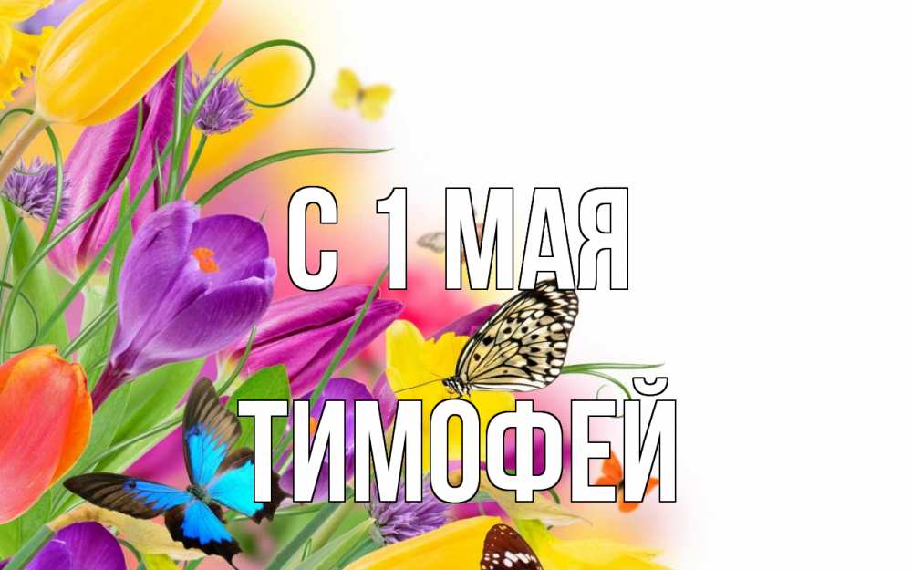 Открытка на каждый день с именем, Тимофей С 1 мая С 1 мая Прикольная открытка с пожеланием онлайн скачать бесплатно 