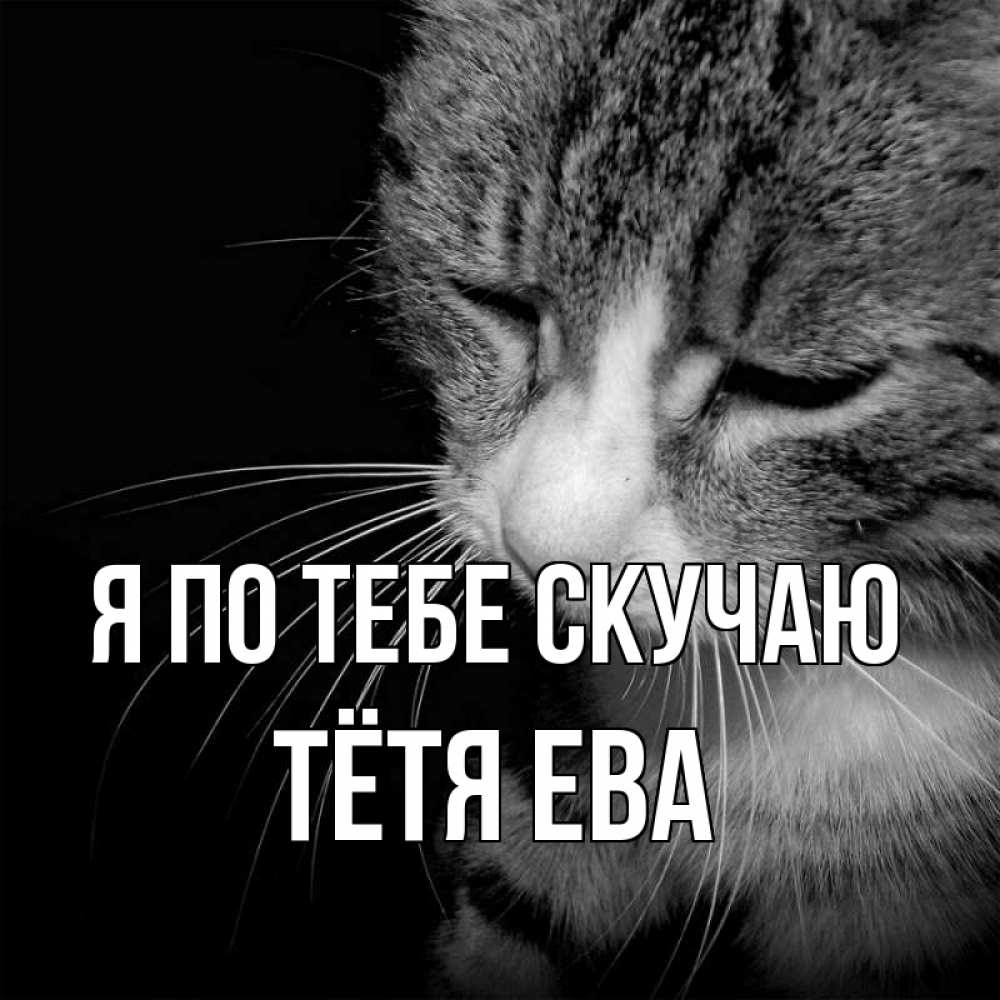 Открытка на каждый день с именем, Тётя-Ева Я по тебе скучаю мне скучно Прикольная открытка с пожеланием онлайн скачать бесплатно 