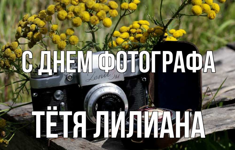 Открытка на каждый день с именем, Тётя-Лилиана С днем фотографа с днем фотографа Прикольная открытка с пожеланием онлайн скачать бесплатно 