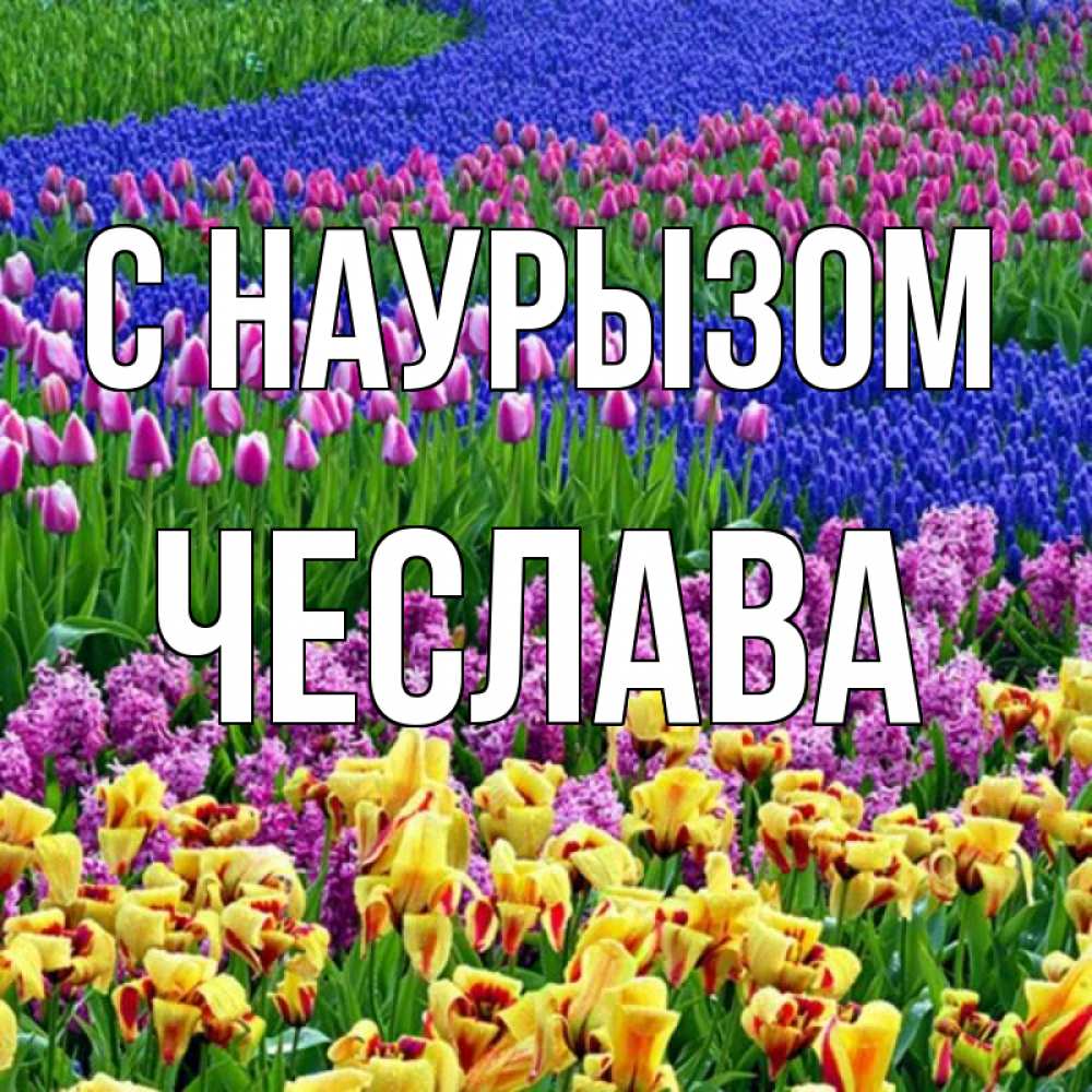 Открытка на каждый день с именем, Чеслава С наурызом цветы Прикольная открытка с пожеланием онлайн скачать бесплатно 