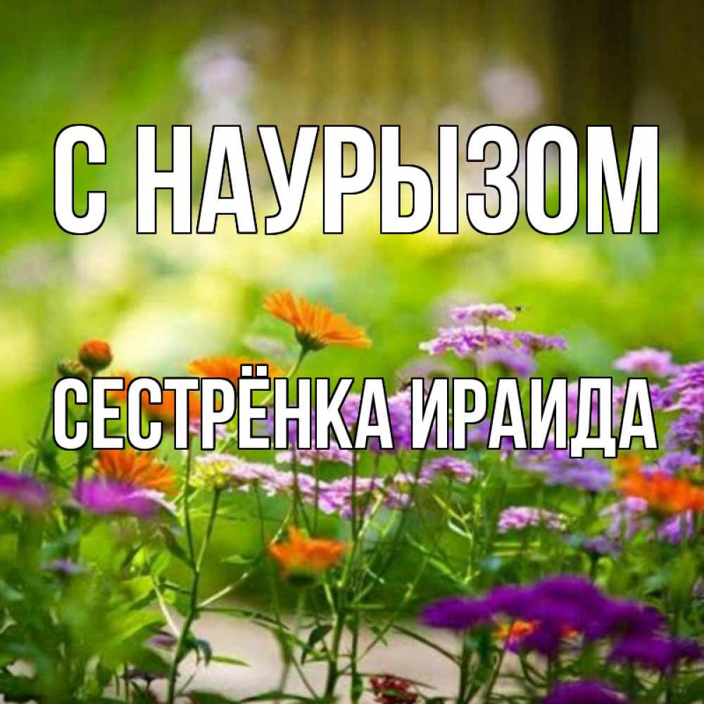Открытка на каждый день с именем, Сестрёнка-Ираида С наурызом цветы Прикольная открытка с пожеланием онлайн скачать бесплатно 