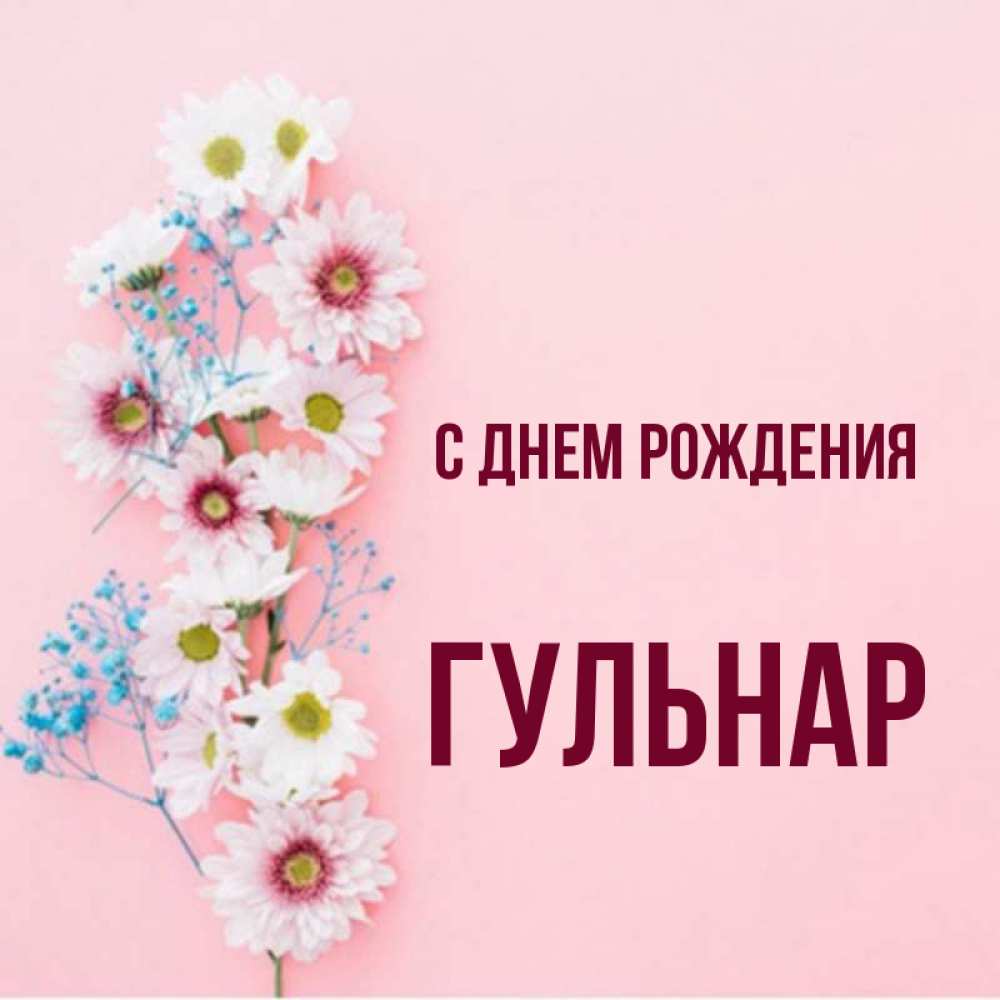 Гульнара картинки цветы