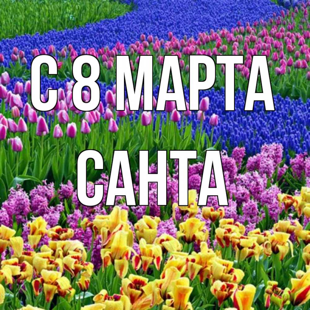 Картинка С 8 марта, Санта