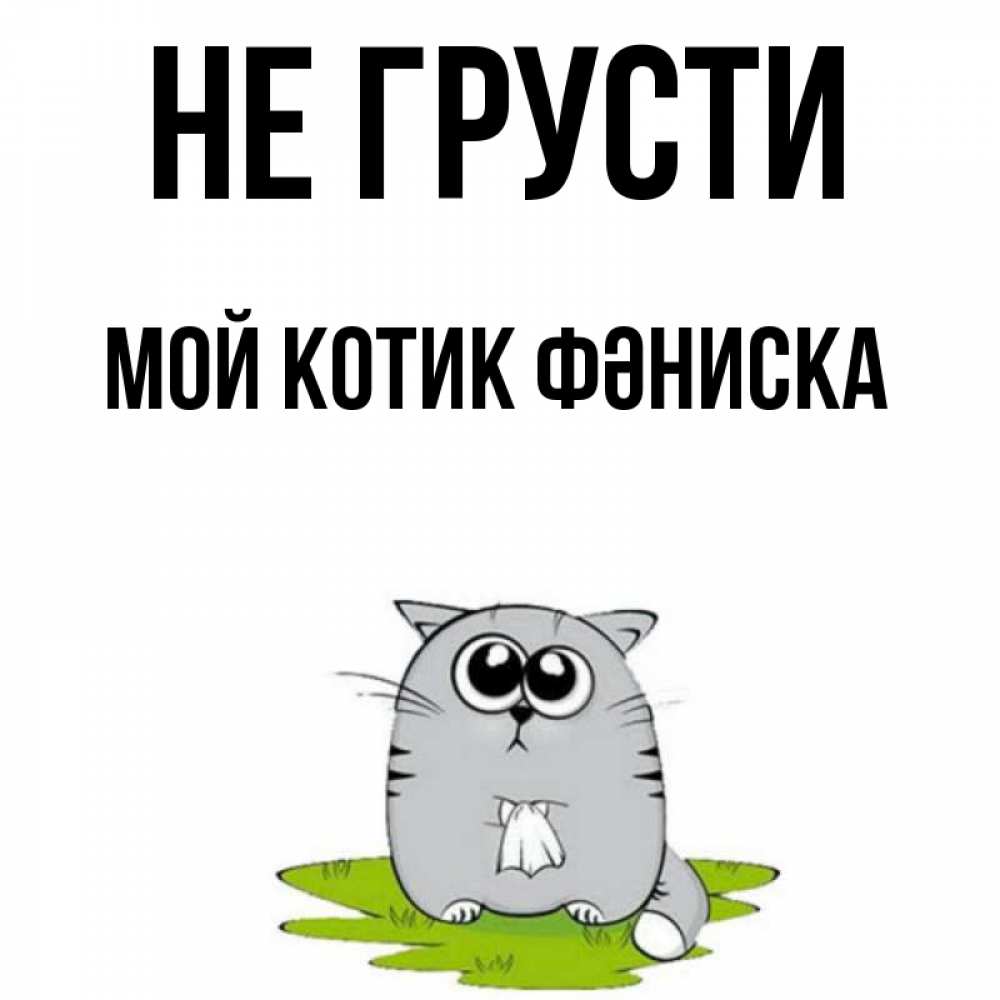 Название моего кота. Название моего кота