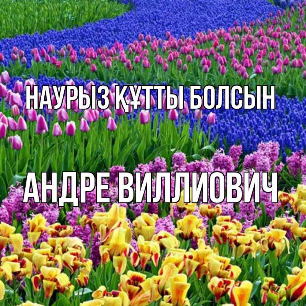 Открытка на каждый день с именем, Андре-Виллиович Наурыз құтты болсын цветы Прикольная открытка с пожеланием онлайн скачать бесплатно 