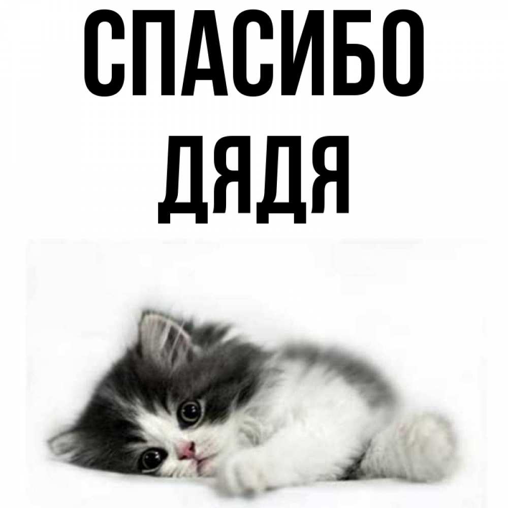 Картинка Спасибо, Дядя