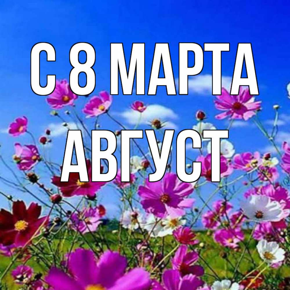 Открытка на каждый день с именем, Август С 8 МАРТА цветы Прикольная открытка с пожеланием онлайн скачать бесплатно 
