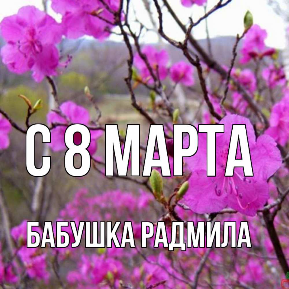 Открытка на каждый день с именем, Бабушка-Радмила С 8 МАРТА международный женский день Прикольная открытка с пожеланием онлайн скачать бесплатно 