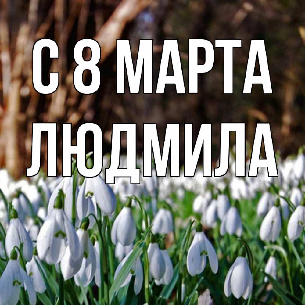 Открытка на каждый день с именем, людмила С 8 МАРТА с подснежниками 1 Прикольная открытка с пожеланием онлайн скачать бесплатно 