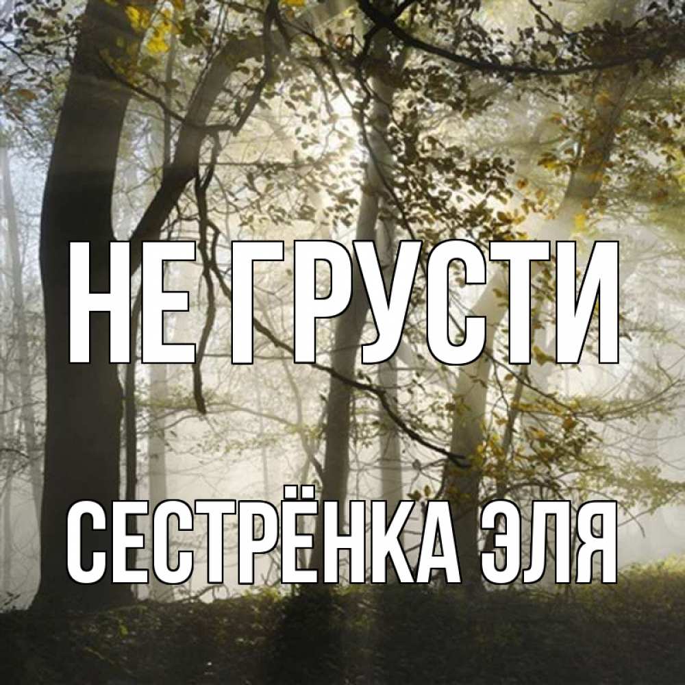 Открытка на каждый день с именем, Сестрёнка-Эля Не грусти лес и свет Прикольная открытка с пожеланием онлайн скачать бесплатно 