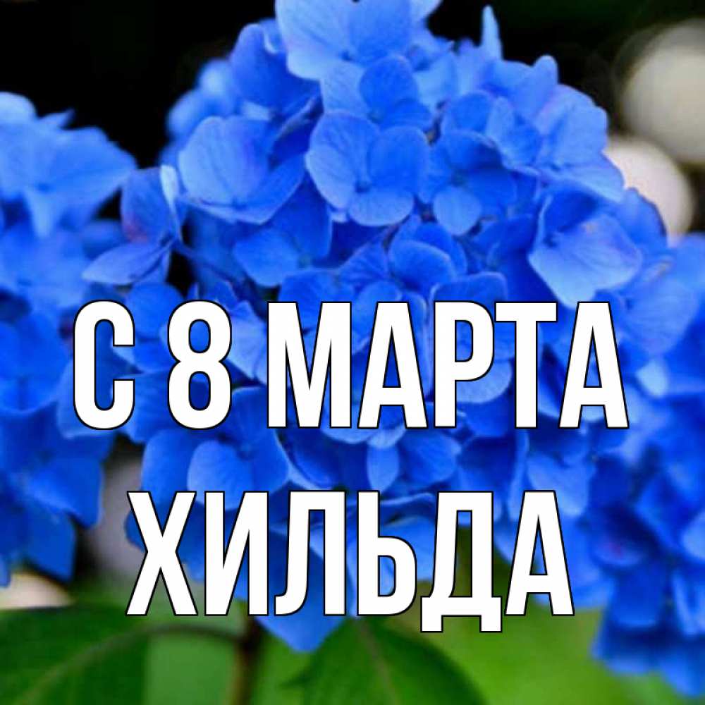 Открытка на каждый день с именем, Хильда С 8 МАРТА синие цветы Прикольная открытка с пожеланием онлайн скачать бесплатно 