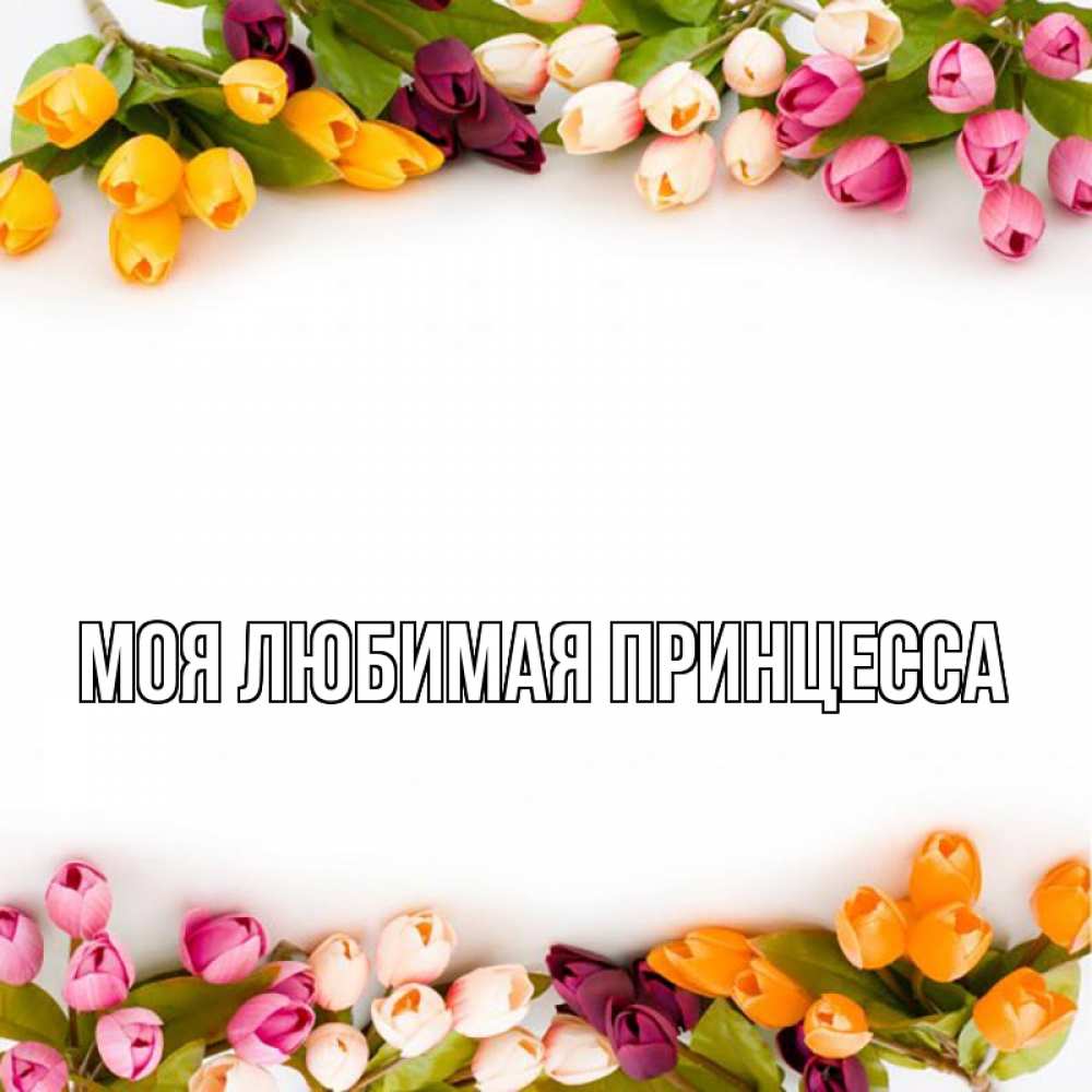 Открытка на каждый день с именем, Моя-Любимая-Принцесса Главная весна март Прикольная открытка с пожеланием онлайн скачать бесплатно 