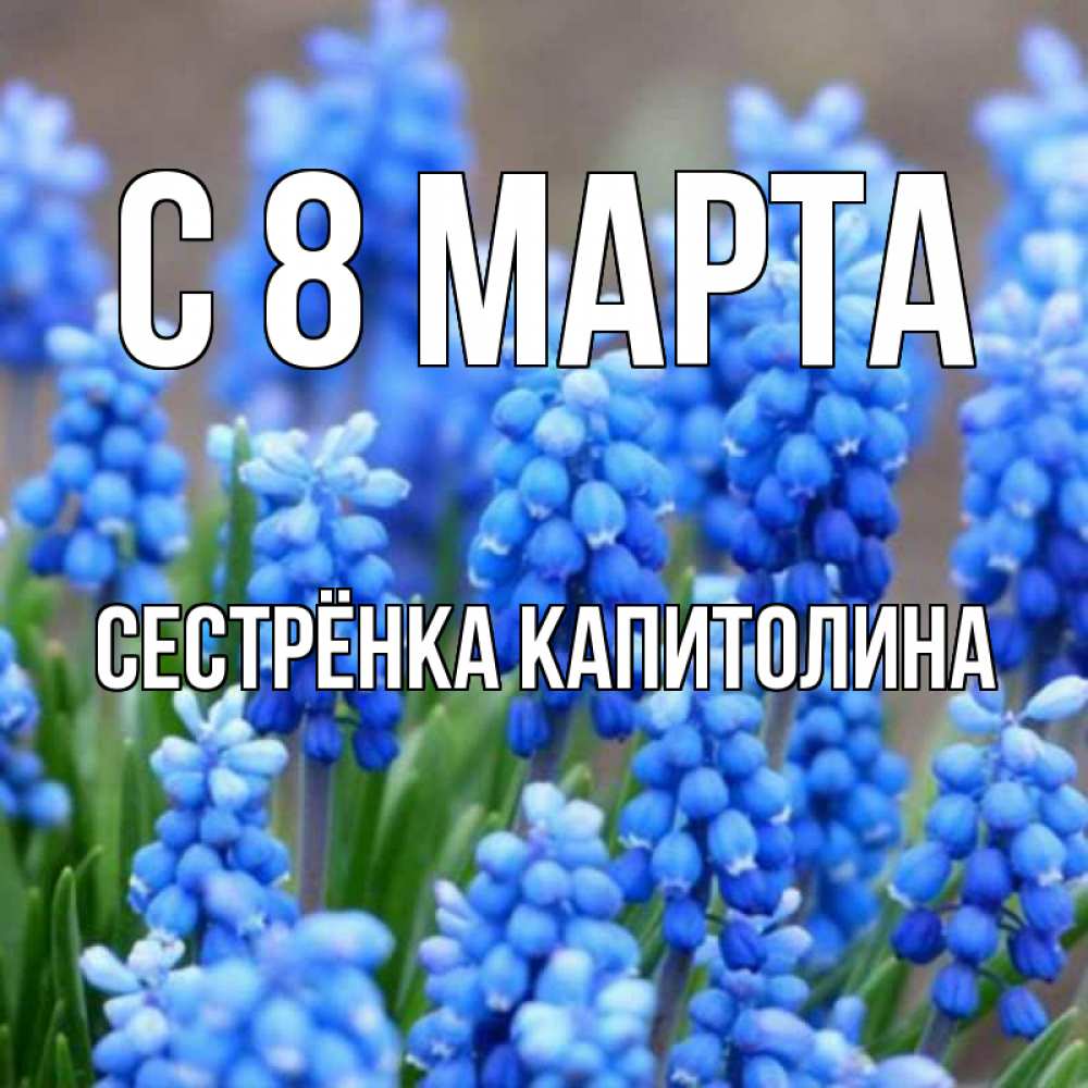 Открытка на каждый день с именем, Сестрёнка-Капитолина С 8 МАРТА Поздравительная открытка для женщин с цветами на праздничную дату Прикольная открытка с пожеланием онлайн скачать бесплатно 