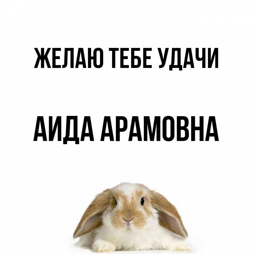 Картинка Желаю тебе удачи, Аида Арамовна