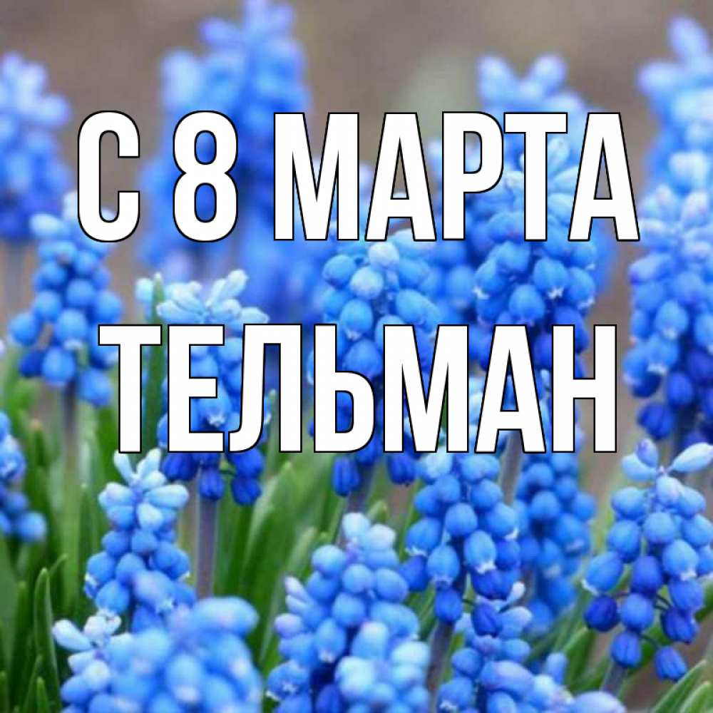 Открытка на каждый день с именем, Тельман С 8 марта Поздравительная открытка для женщин с цветами на праздничную дату Прикольная открытка с пожеланием онлайн скачать бесплатно 