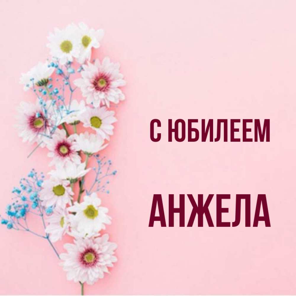 С Днем Рождения Анжела Смешные Картинки