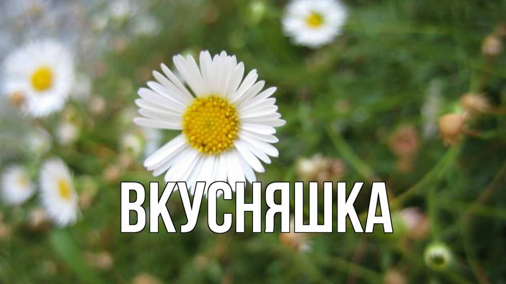 Открытка на каждый день с именем, Вкусняшка Главная с днем семьи Прикольная открытка с пожеланием онлайн скачать бесплатно 