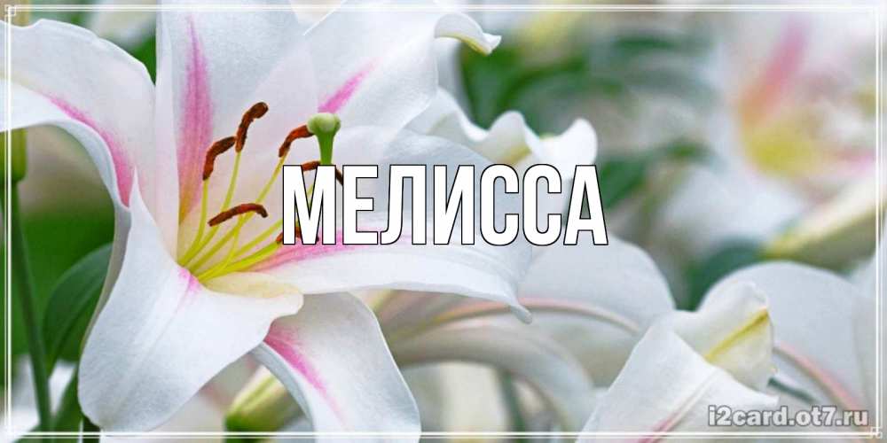 Картинка  с именем , Мелисса