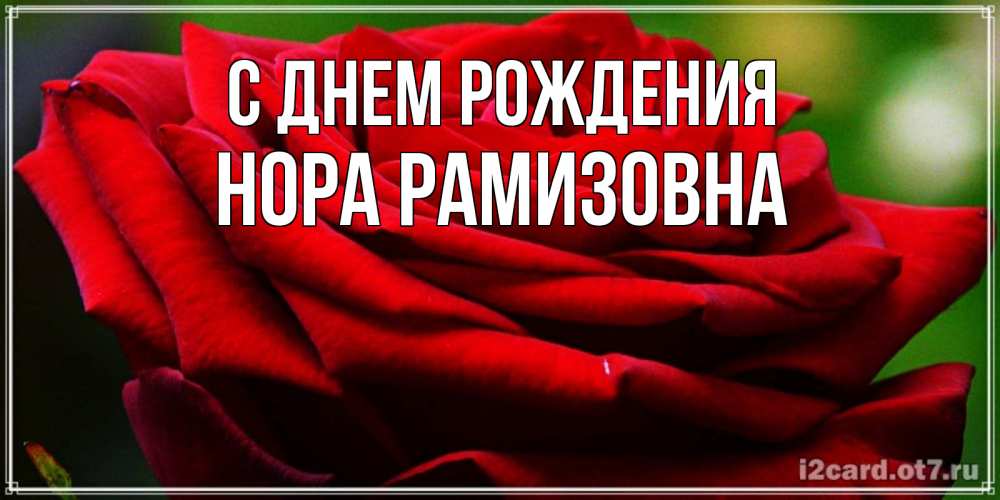 Картинка С днем рождения, Нора Рамизовна