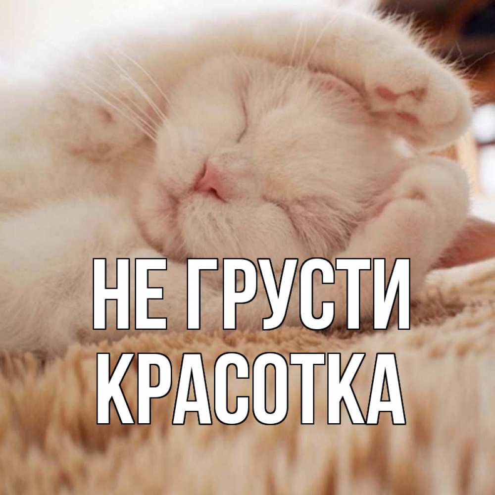 Картинка Не грусти, красотка