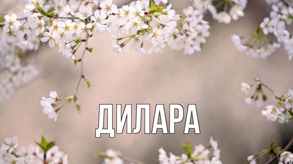 Картинка  с именем , Дилара