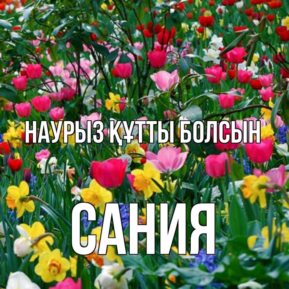 Открытка на каждый день с именем, Сания Наурыз құтты болсын с наурызом поздравления для женщины Прикольная открытка с пожеланием онлайн скачать бесплатно 