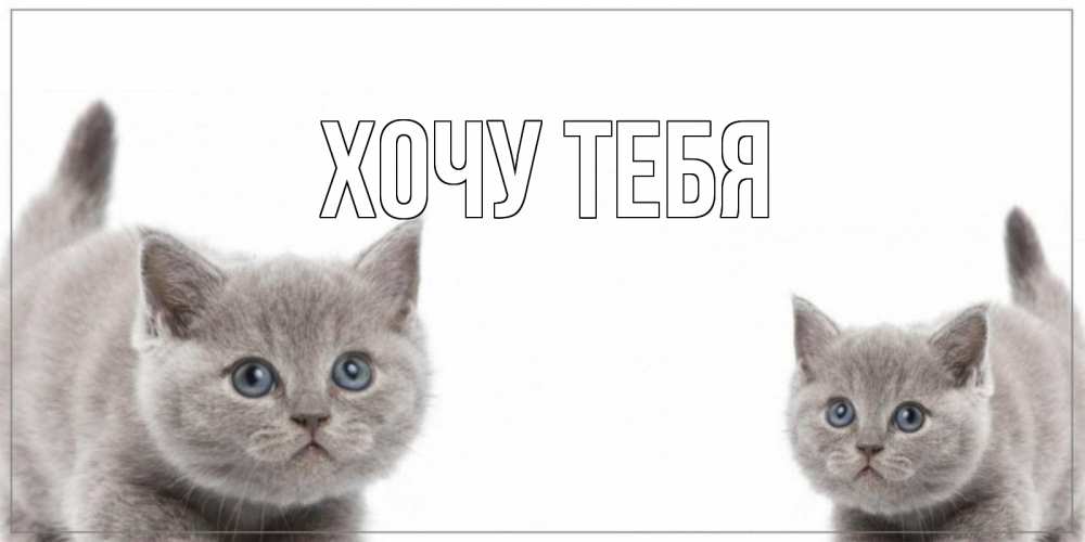Открытка на каждый день с именем, Хочу-тебя Главная открытка с котами Прикольная открытка с пожеланием онлайн скачать бесплатно 