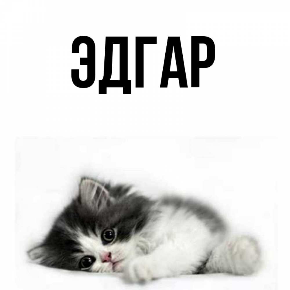 Картинка  с именем , Эдгар