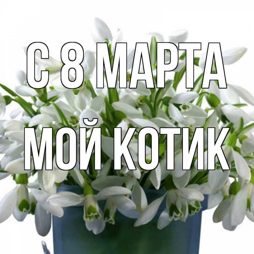 Открытка на каждый день с именем, мой-Котик С 8 МАРТА цветы к международному женскому дню Прикольная открытка с пожеланием онлайн скачать бесплатно 