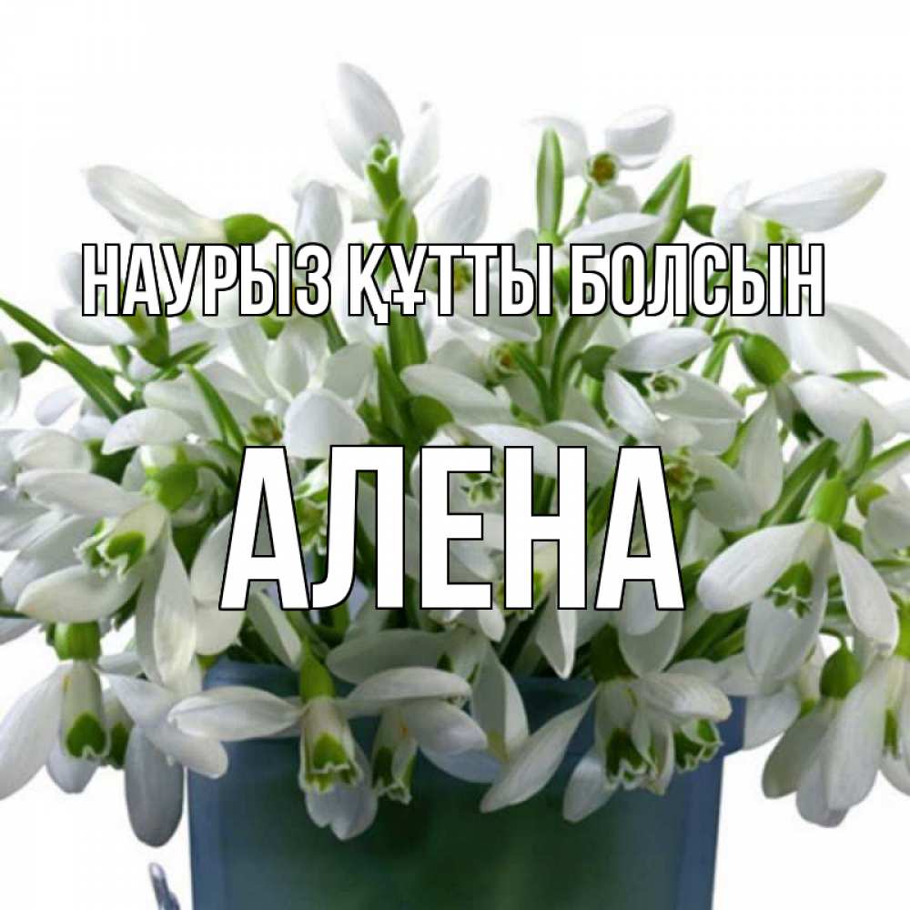 Открытка на каждый день с именем, Алена Наурыз құтты болсын цветы к наурызу Прикольная открытка с пожеланием онлайн скачать бесплатно 