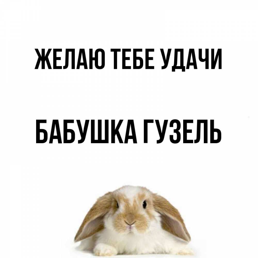 Открытка на каждый день с именем, Бабушка-Гузель Желаю тебе удачи открытки с произвольным текстом который можно вставить в открытку и создать ее самостоятельно бесплатно онлайн Прикольная открытка с пожеланием онлайн скачать бесплатно 