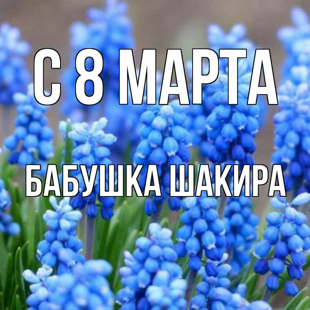 Открытка на каждый день с именем, Бабушка-Шакира С 8 МАРТА Поздравительная открытка для женщин с цветами на праздничную дату Прикольная открытка с пожеланием онлайн скачать бесплатно 