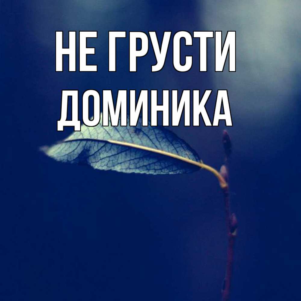 Открытка на каждый день с именем, Доминика Не грусти растение Прикольная открытка с пожеланием онлайн скачать бесплатно 