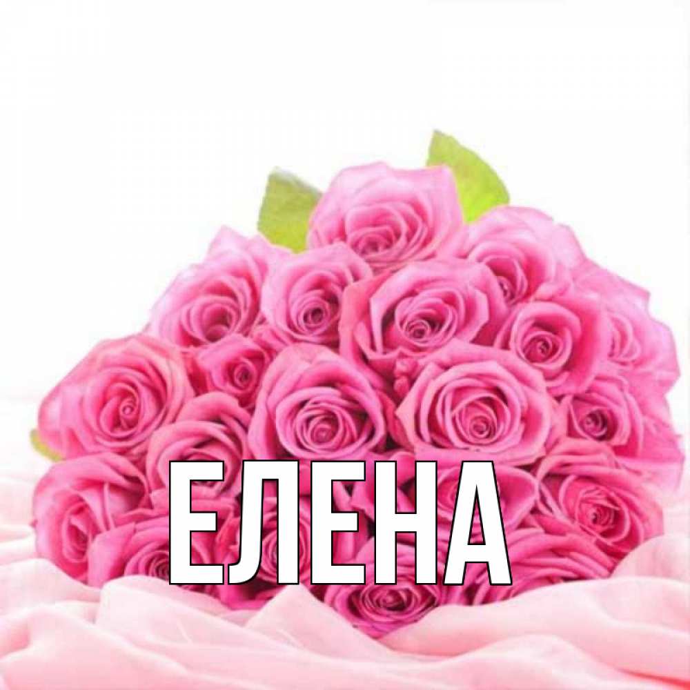 Открытка на каждый день с именем, Елена Главная розовые розы с подписью Прикольная открытка с пожеланием онлайн скачать бесплатно 