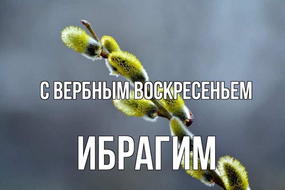 Открытка на каждый день с именем, Ибрагим С вербным воскресеньем верба Прикольная открытка с пожеланием онлайн скачать бесплатно 