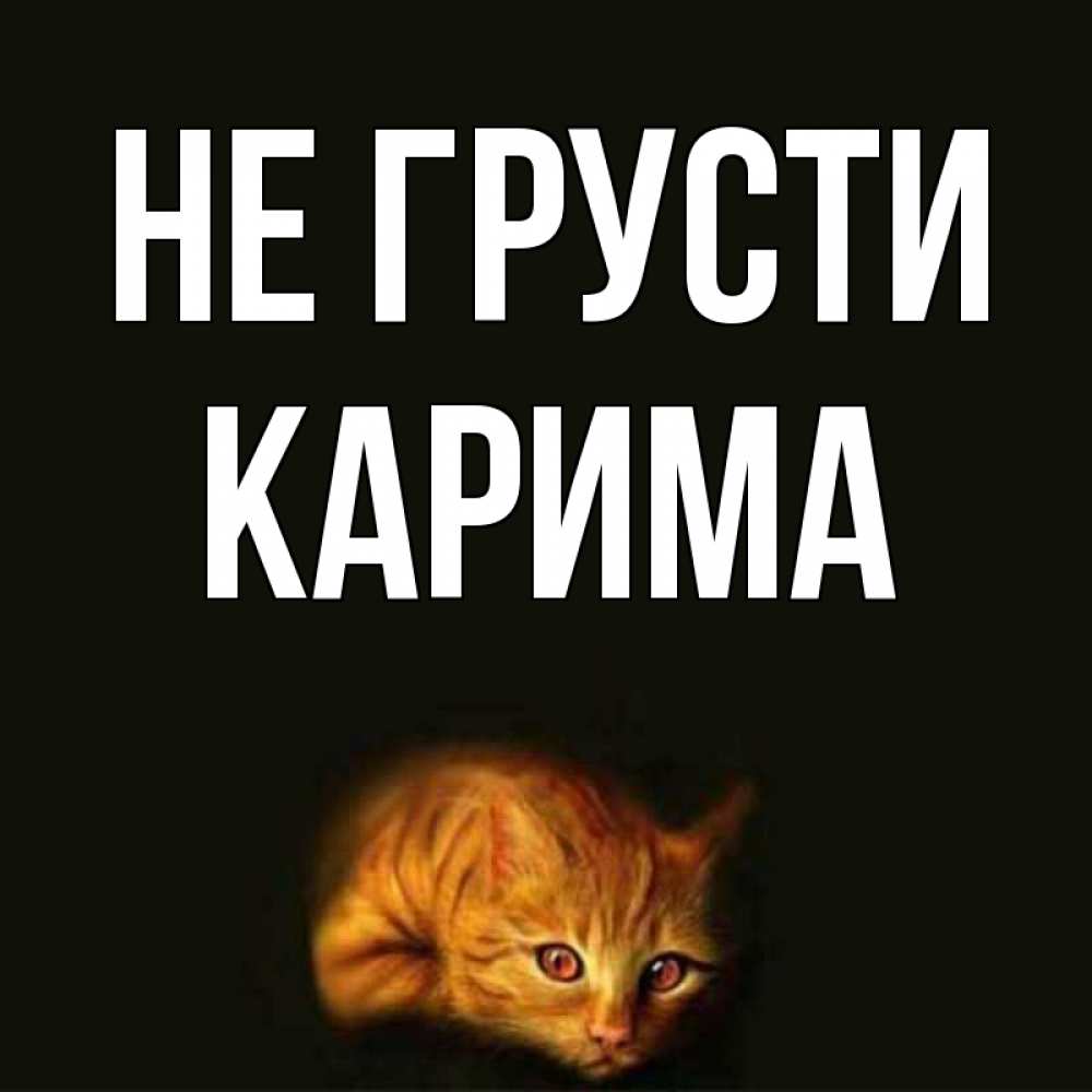 Открытка на каждый день с именем, Карима Не грусти лежащий кот в темноте Прикольная открытка с пожеланием онлайн скачать бесплатно 