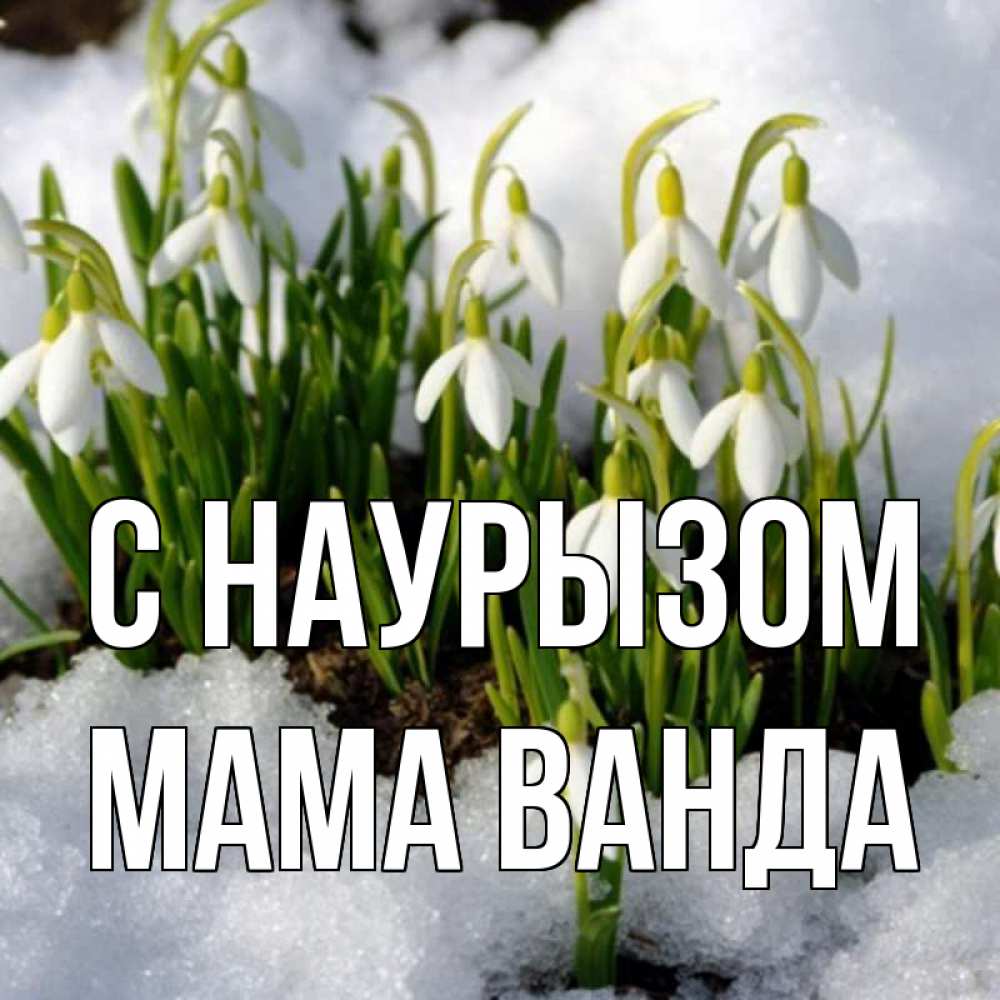Открытка на каждый день с именем, Мама-Ванда С наурызом цветы весенние Прикольная открытка с пожеланием онлайн скачать бесплатно 