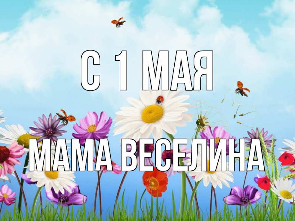 Открытка на каждый день с именем, Мама-Веселина С 1 мая С 1 мая Прикольная открытка с пожеланием онлайн скачать бесплатно 